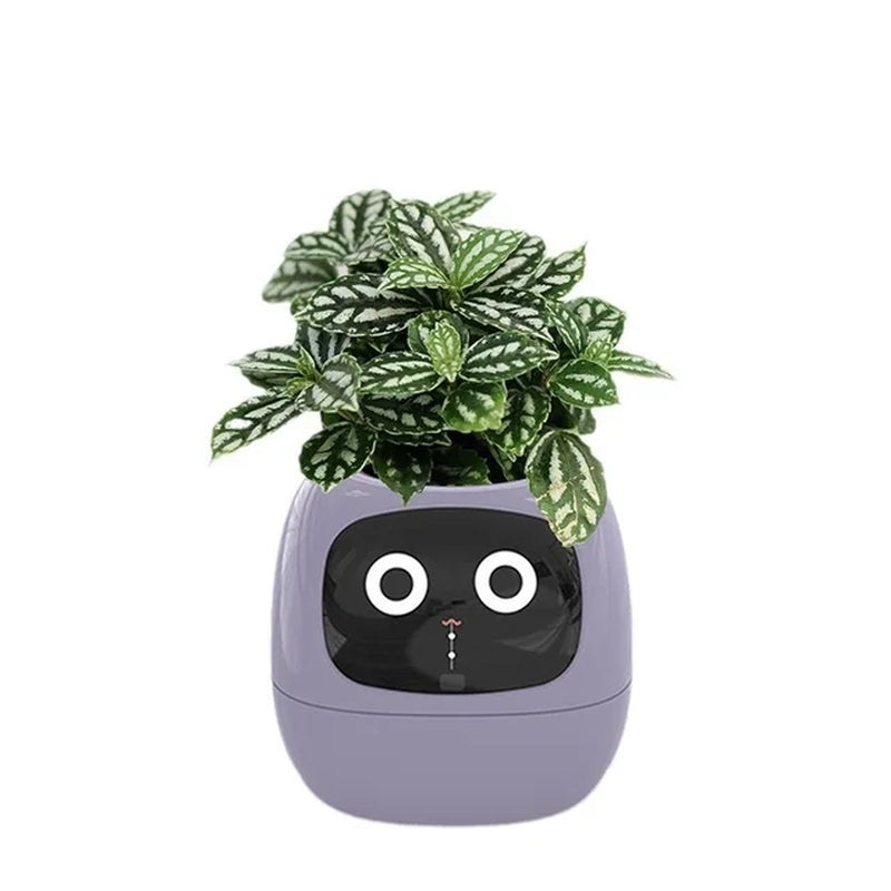 Indoor Creative Interaction Tamagotchi Cute Pet Small Smart Flower Pot APP Control Flowerpot Let Your Plants Express Emotions